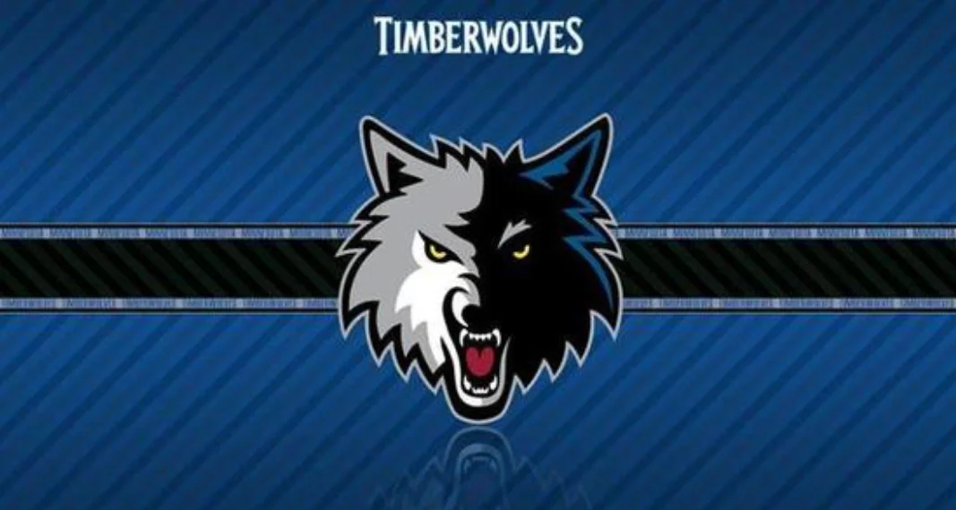 2025年度最佳阵容（2025年最佳阵容揭晓）